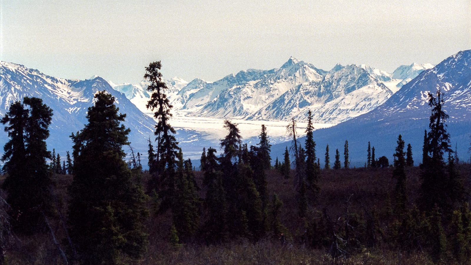 Matanuska Glacier in summer.